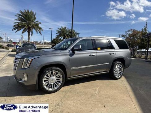 Used 2019 Cadillac Escalade Platinum image 5