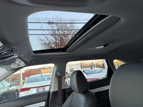 New 2026 Kia Seltos SX w/ SX Sunroof Package image 11