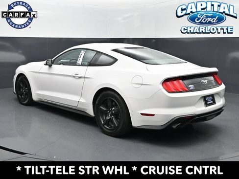 Used 2019 Ford Mustang Coupe RWD image 5