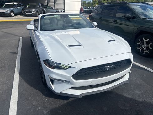 Used 2019 Ford Mustang Premium w/ Equipment Group 201A image 3