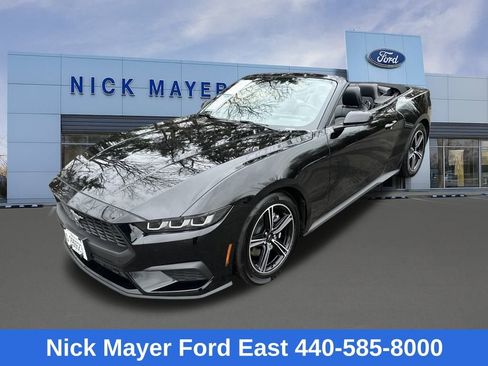 Used 2025 Ford Mustang Premium image 4