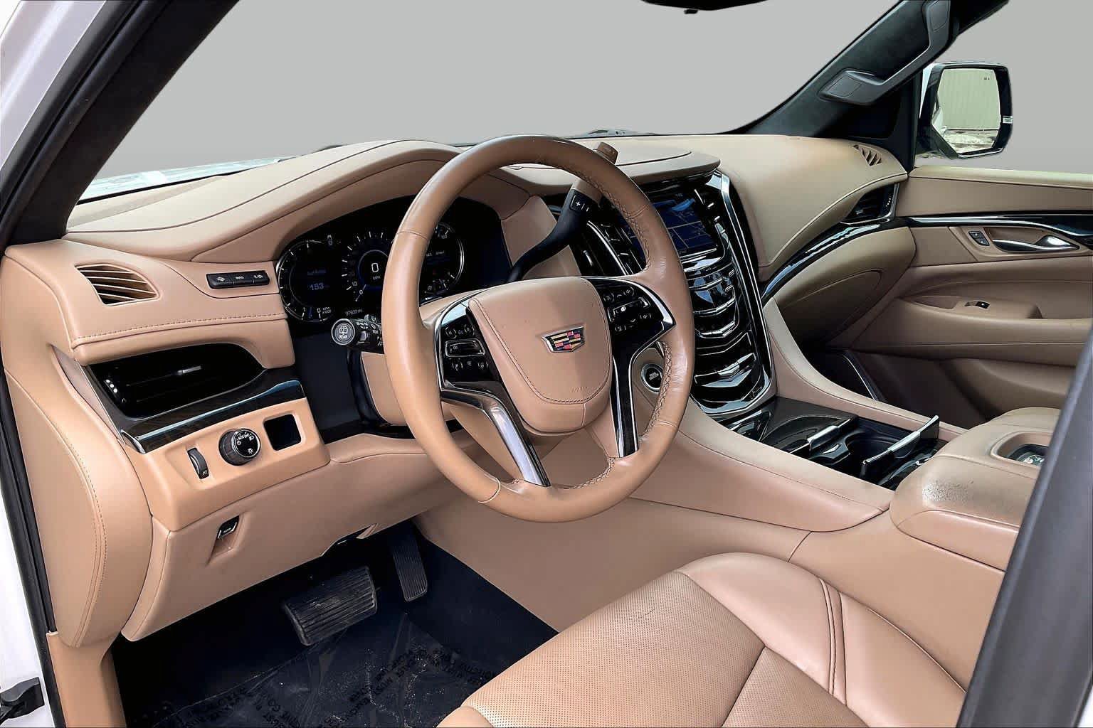 Used 2019 Cadillac Escalade Platinum RWD image 14