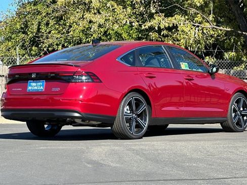 New 2025 Honda Accord Sport image 3