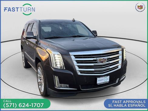 Used 2016 Cadillac Escalade Platinum image 5