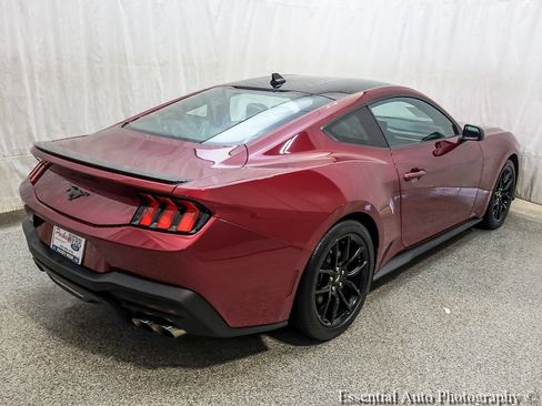 Used 2025 Ford Mustang Premium w/ Mustang Nite Pony Package RWD image 9