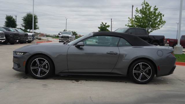 Used 2024 Ford Mustang Premium RWD image 3