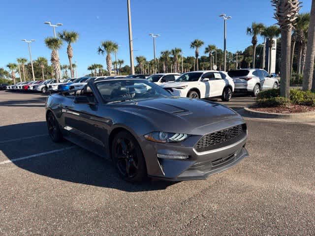 Used 2023 Ford Mustang Premium w/ Mustang Nite Pony Package RWD image 8