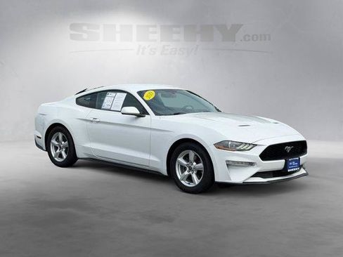 Certified 2019 Ford Mustang Coupe RWD image 2