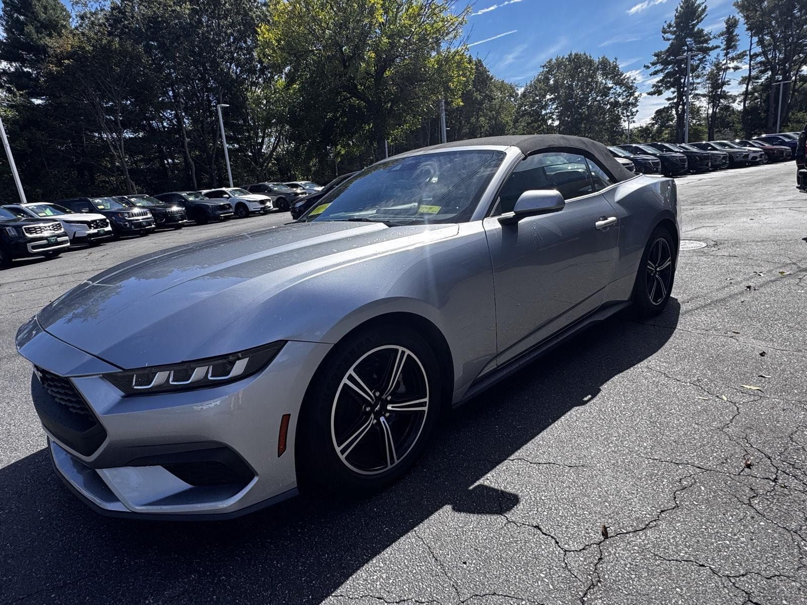 Used 2024 Ford Mustang Premium RWD image 3
