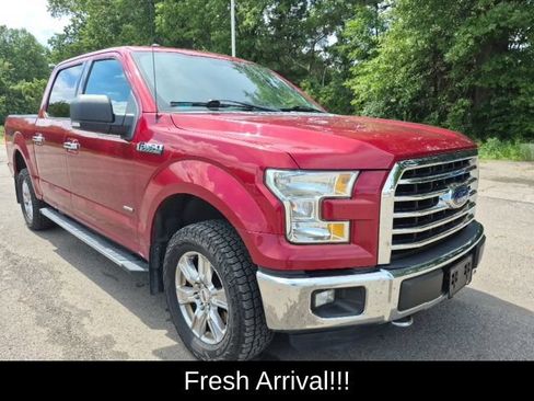 Used 2016 Ford F150 XLT w/ Equipment Group 301A Mid AWD/4WD image 3
