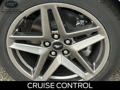 New 2026 Ford Mustang EcoBoost image 11