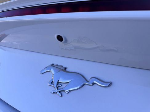 Used 2024 Ford Mustang Premium image 15