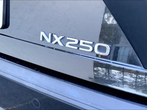 Used 2024 Lexus NX 250 FWD w/ Premium Package image 9