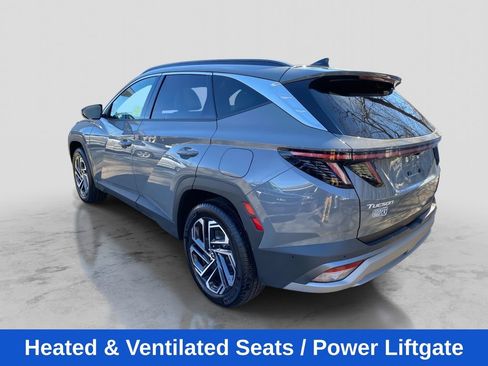 Used 2025 Hyundai Tucson Limited AWD/4WD image 3