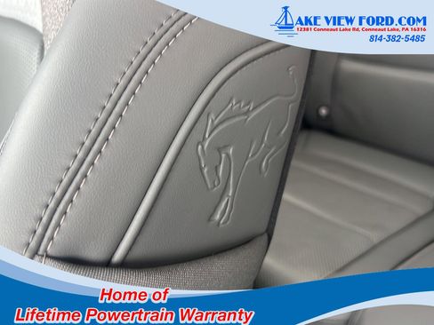 Used 2025 Ford Bronco Sport Badlands image 21