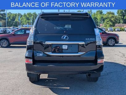 Used 2023 Lexus GX 460 Premium