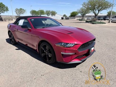 Used 2021 Ford Mustang Convertible w/ Equipment Group 101A RWD image 3