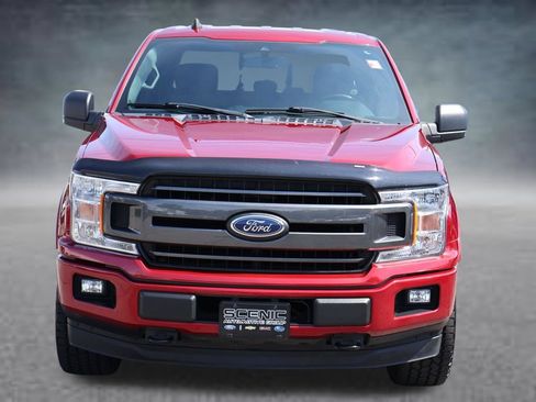 Used 2019 Ford F150 XLT w/ Equipment Group 302A Luxury AWD/4WD image 29