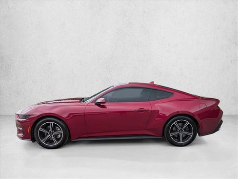 Used 2025 Ford Mustang Coupe image 8