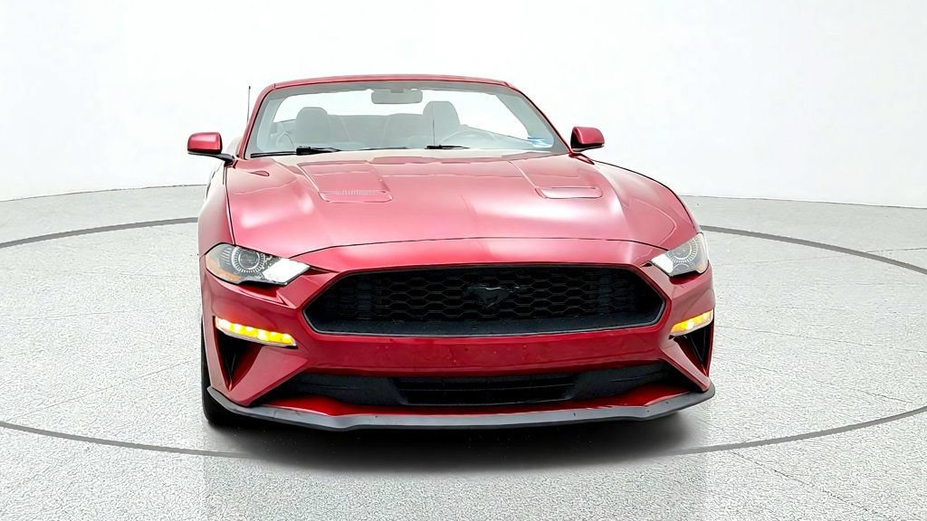 Used 2019 Ford Mustang Convertible w/ Equipment Group 101A RWD image 2