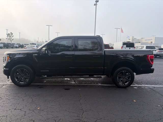 Used 2023 Ford F150 XLT w/ Equipment Group 302A High AWD/4WD image 1