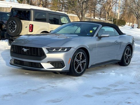 Used 2024 Ford Mustang Premium image 2