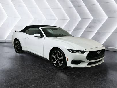 Used 2024 Ford Mustang Premium