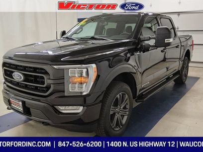 Used 2023 Ford F150 XLT w/ Equipment Group 302A High