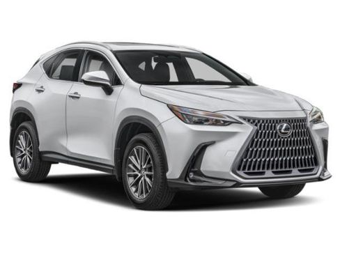 Certified 2025 Lexus NX 350h AWD w/ Cold Area Package image 6