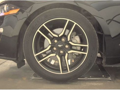 Used 2018 Ford Mustang Premium image 12