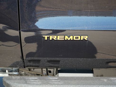 New 2025 Ford Expedition Tremor image 10