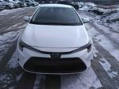 Used 2023 Toyota Corolla LE