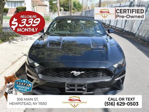 Used 2024 Ford Mustang Premium image 1