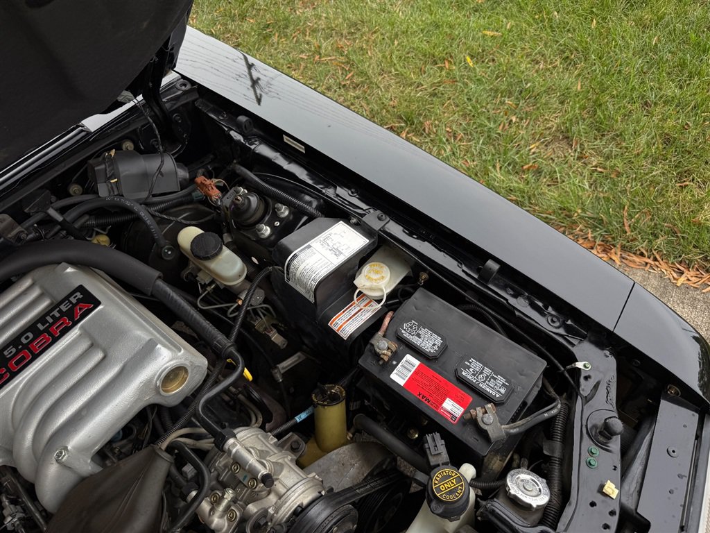 Used 1993 Ford Mustang Cobra RWD image 84