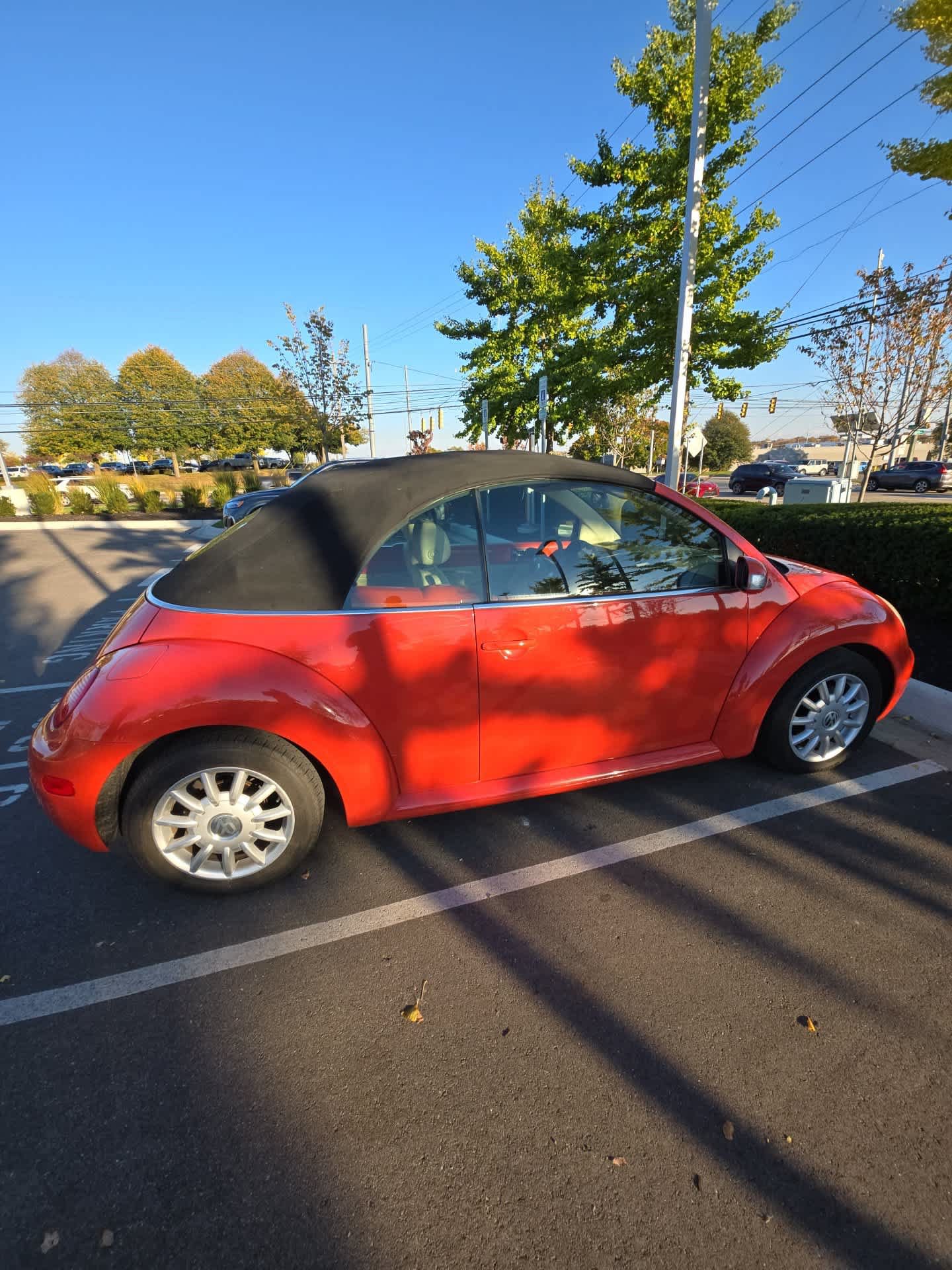 Used 2005 Volkswagen Beetle GLS FWD image 5