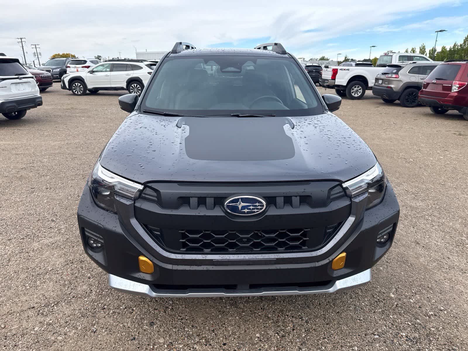 Used 2026 Subaru Forester Wilderness AWD/4WD image 10