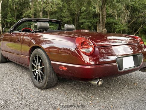 Used 2002 Ford Thunderbird RWD image 4