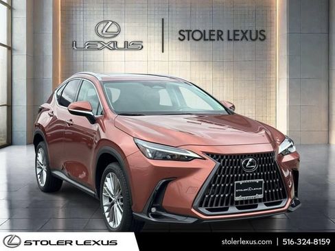 Used 2025 Lexus NX 350 AWD w/ Cold Area Package image 1