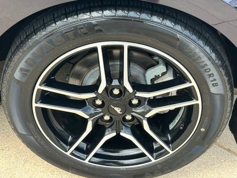 Used 2023 Ford Mustang Premium RWD image 14
