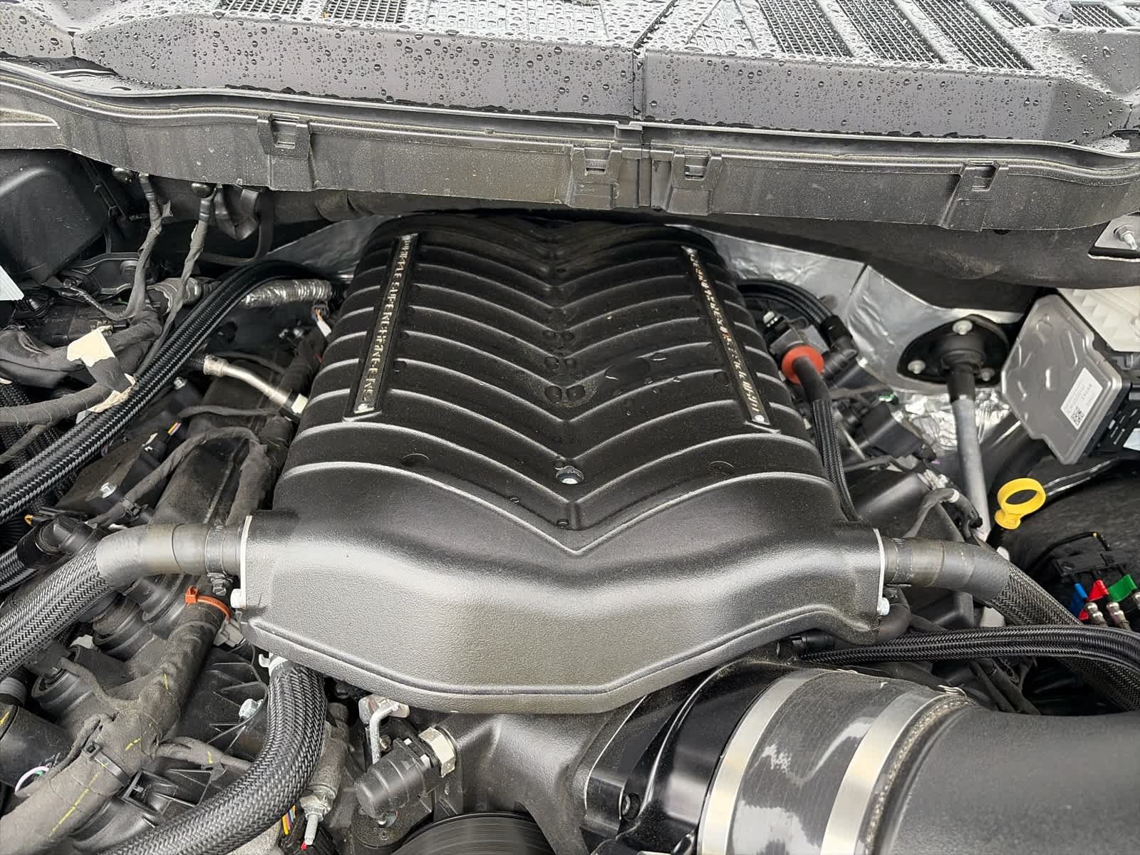 Used 2025 Ford F150 XL AWD/4WD image 6