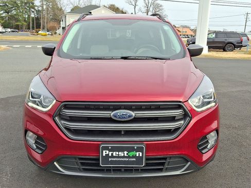 Used 2019 Ford Escape SEL image 2