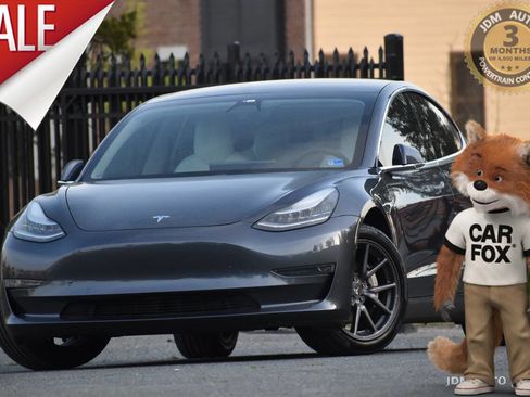 Used 2019 Tesla Model 3 Standard Range Plus image 1