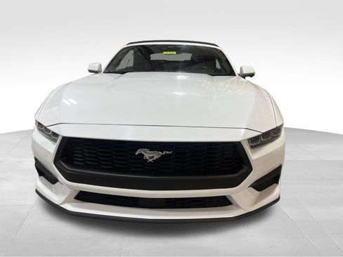 Used 2024 Ford Mustang Premium RWD image 2