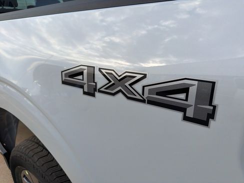 New 2025 Ford F150 STX w/ Equipment Group 200A image 12