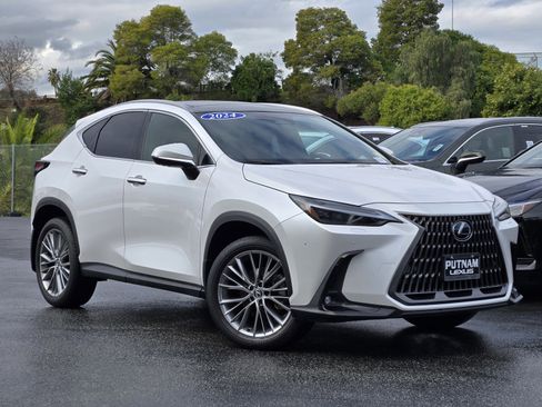 Used 2024 Lexus NX 350 350 Luxury image 1