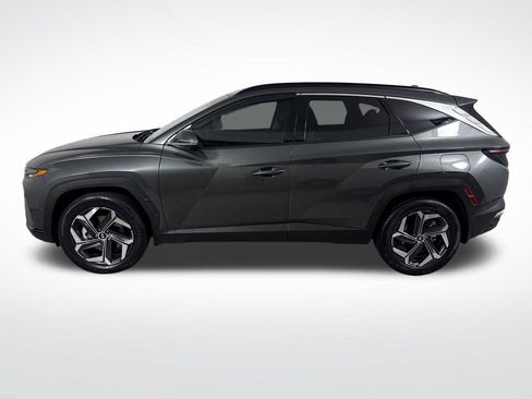 Used 2024 Hyundai Tucson Limited AWD/4WD image 8