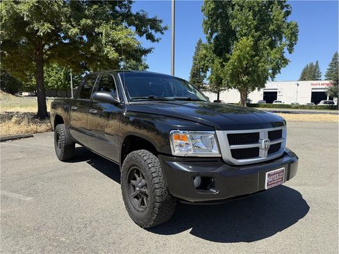 Used 2011 Dodge Dakota Big Horn AWD/4WD image 1