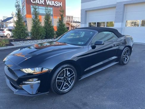 Certified 2023 Ford Mustang Premium image 2