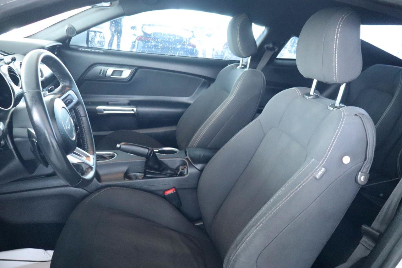 Used 2019 Ford Mustang Coupe RWD image 16