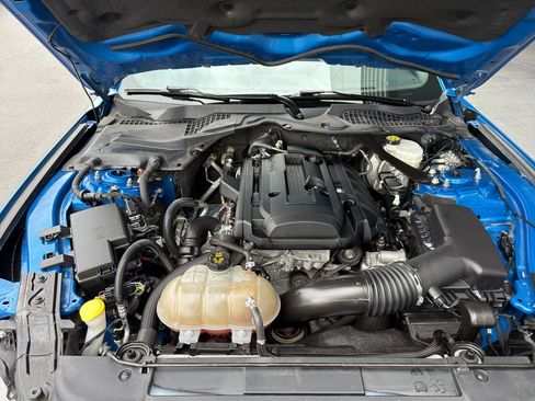 Certified 2019 Ford Mustang Premium RWD image 4